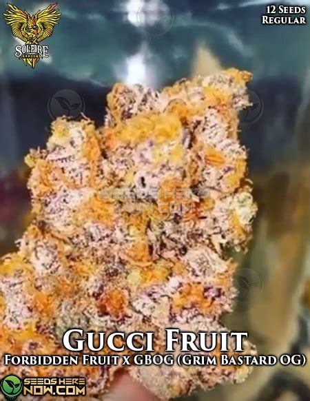 gucci fruit strains.